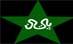 Top Pakistani Cricket Openers